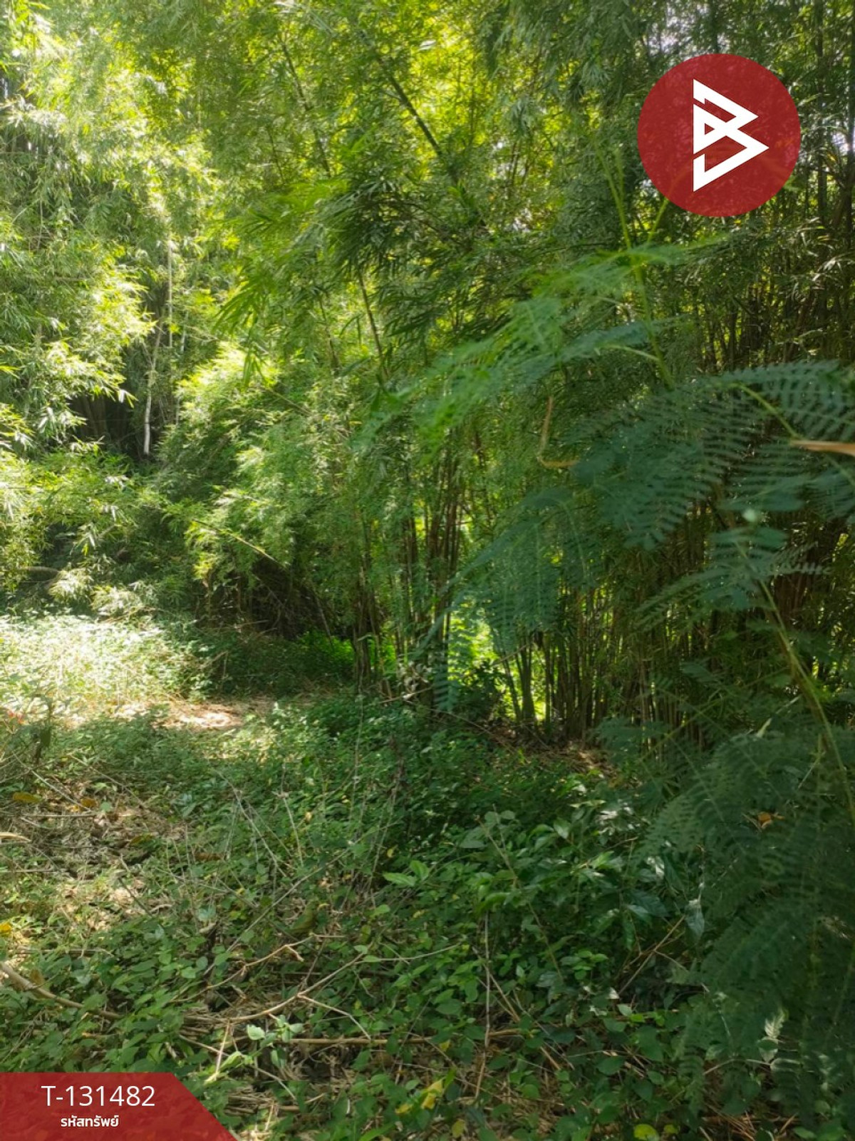 Land for sale, area 3 rai 2 ngan 93.3 square wa, Sikhio District, Nakhon Ratchasima. – รูปที่ 3