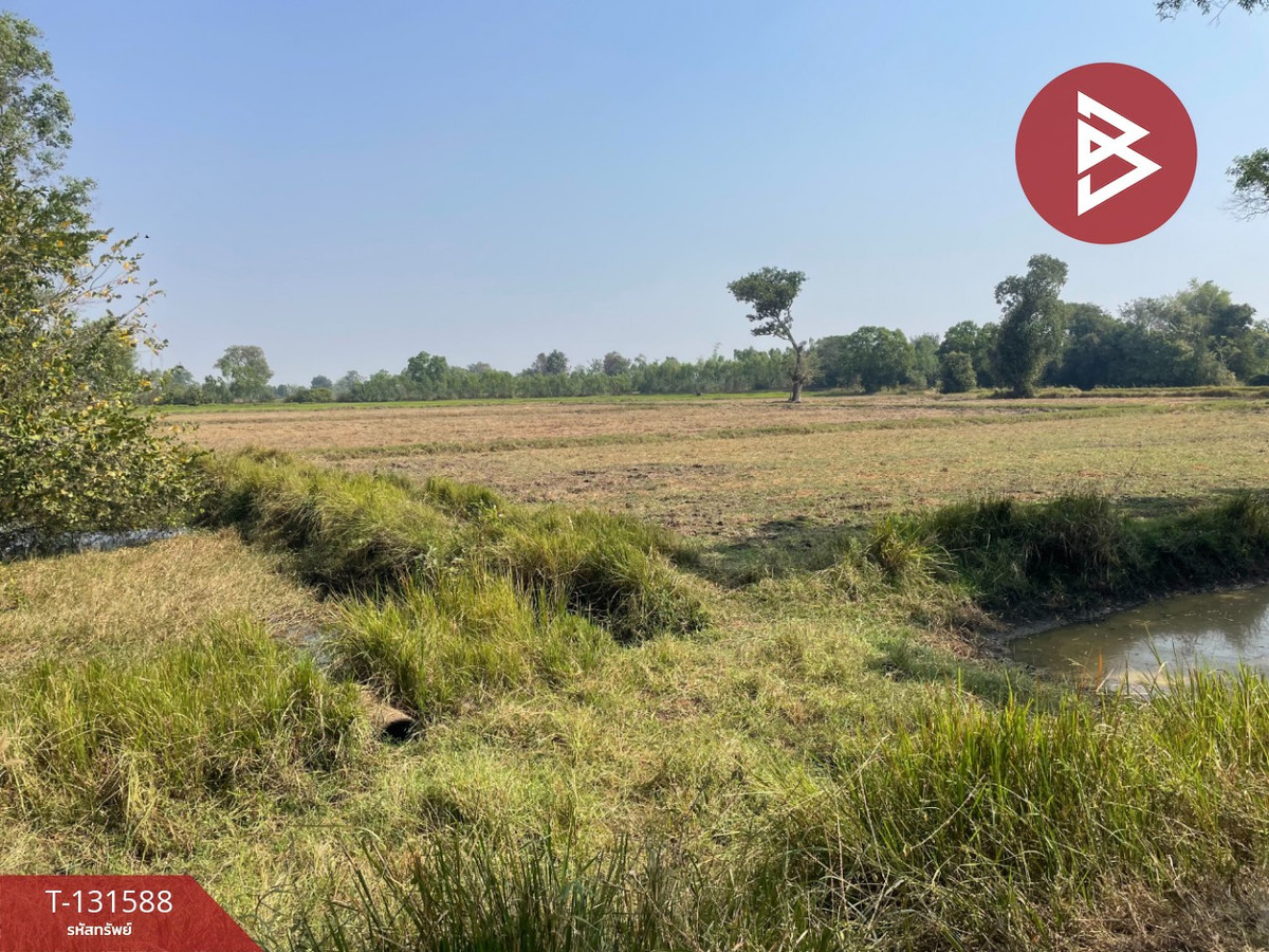 Land for sale, area 21 rai 2 ngan 8 sq m, Prakhon Chai, Buriram. – รูปที่ 2