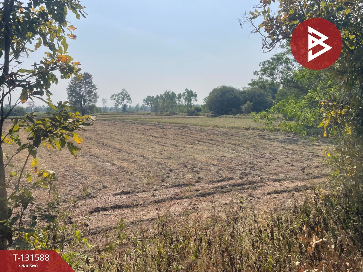 Land for sale, area 21 rai 2 ngan 8 sq m, Prakhon Chai, Buriram. Land for sale, area 21 rai 2 ngan 8 sq m, Prakhon Chai, Buriram.