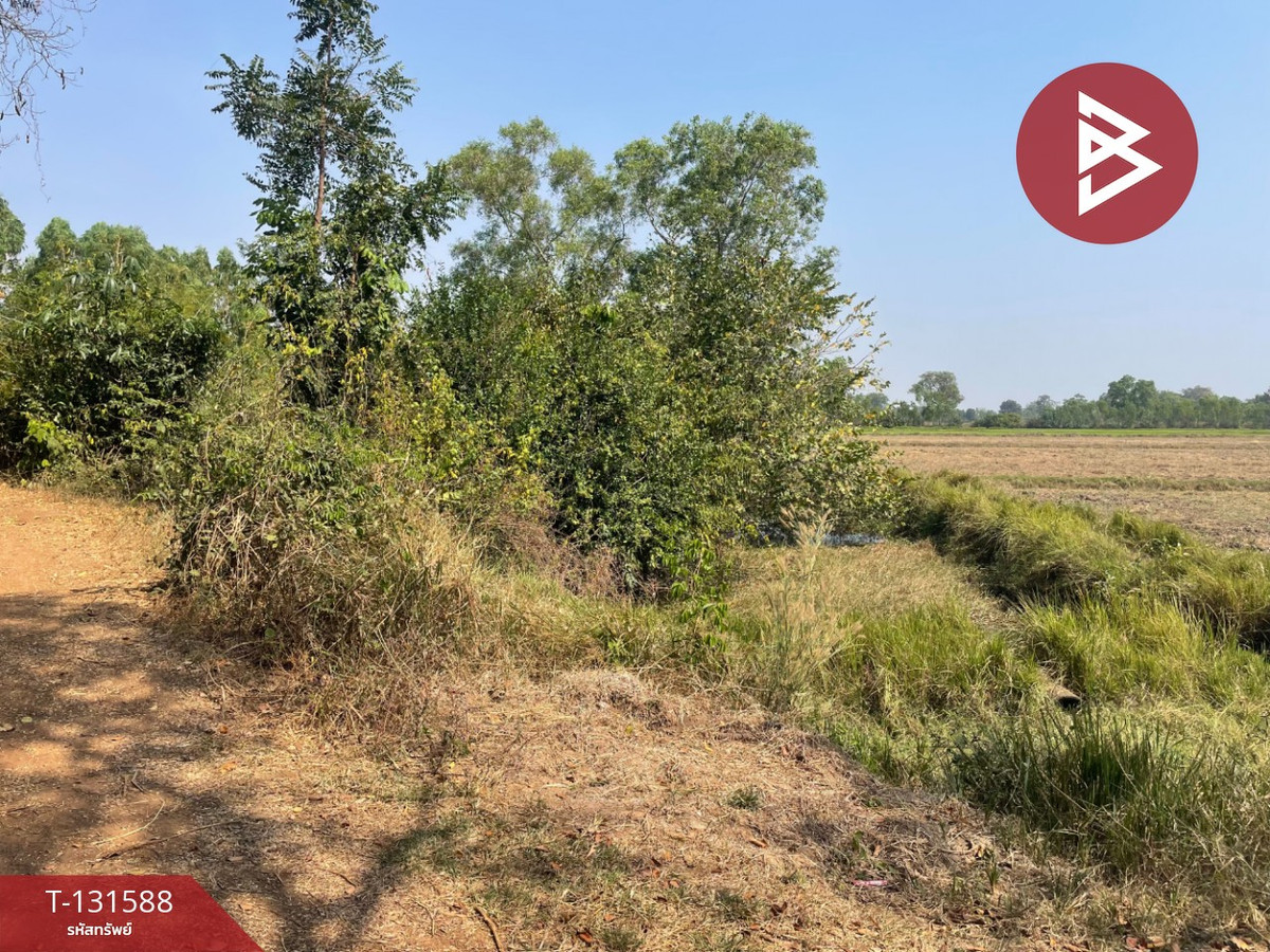 Land for sale, area 21 rai 2 ngan 8 sq m, Prakhon Chai, Buriram. – รูปที่ 3