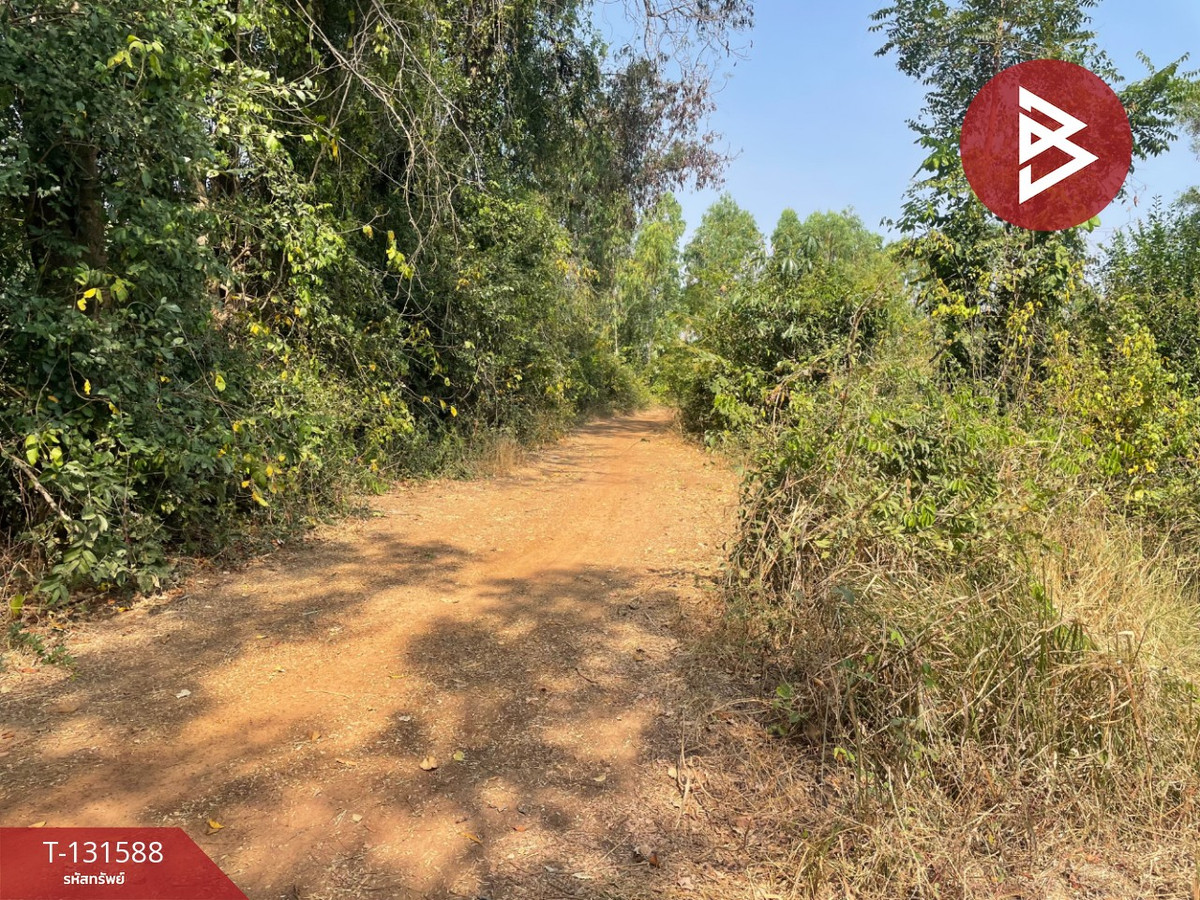 Land for sale, area 21 rai 2 ngan 8 sq m, Prakhon Chai, Buriram. – รูปที่ 4