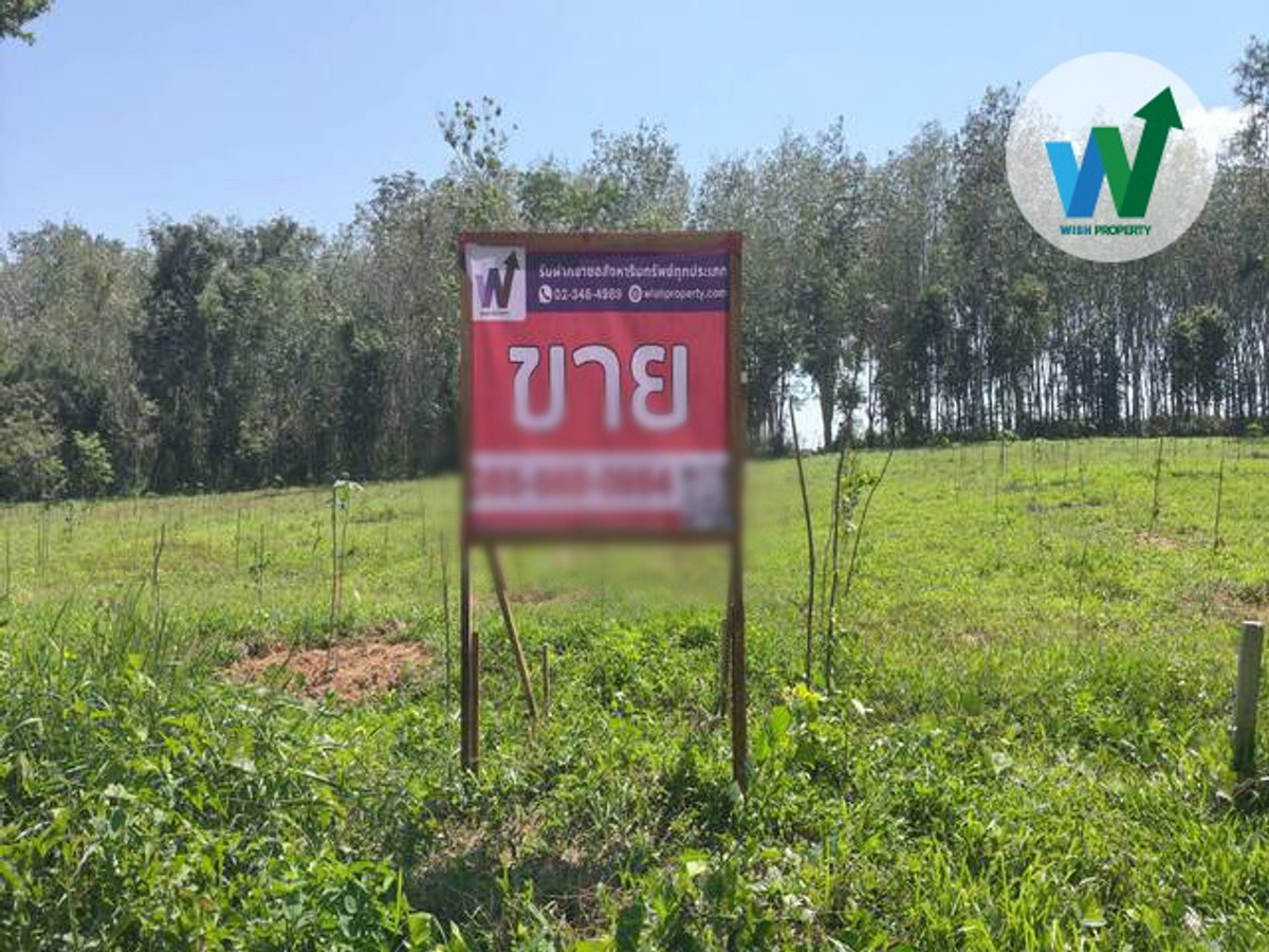 ขายที่ดินแปลงสวยควนขนุนปลูกรวมกับพันธุ์เศรฐกิจนานาพันธ์ ใกล้ตลาดน้ำทะเลน้อย ขายที่ดินแปลงสวยควนขนุนปลูกรวมกับพันธุ์เศรฐกิจนานาพันธ์ ใกล้ตลาดน้ำทะเลน้อย
