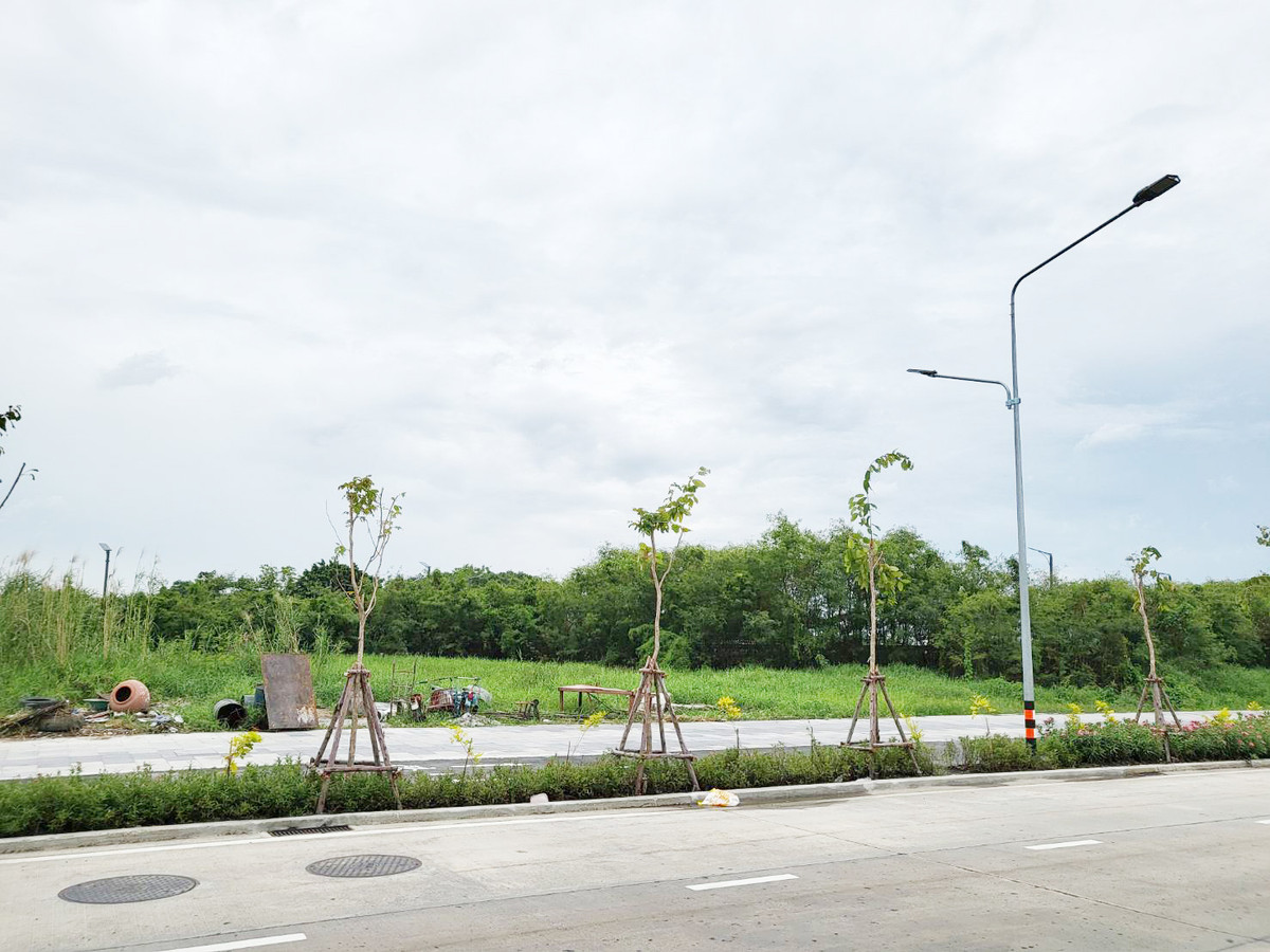ขายที่ดิน ขายต่ำกว่าราคาตลาด!!! 24-2-60 ไร่ ถนนเทพรักษ์ ดอนเมือง หน้ากว้างติดถนน 547 เมตร – รูปที่ 3