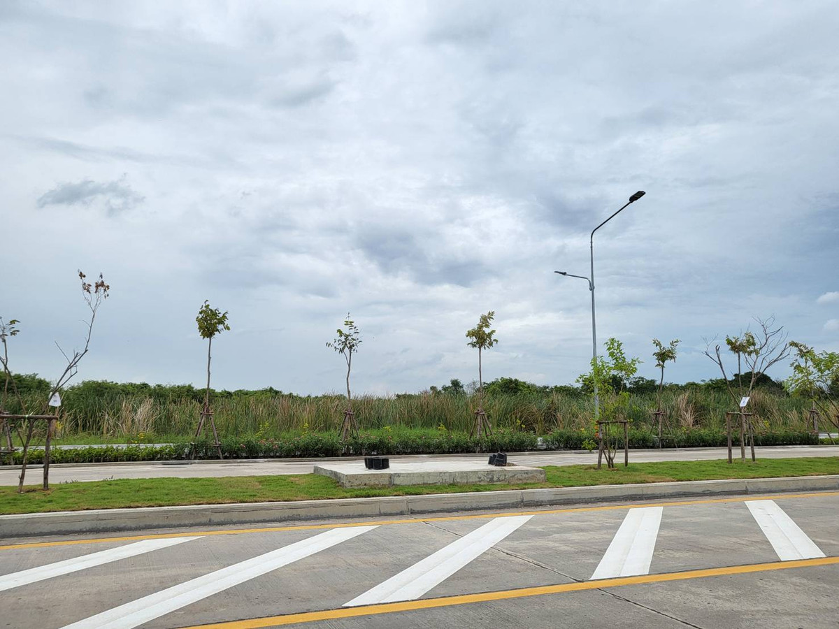 ขายที่ดิน 14-2-77.5ไร่ ถนนเทพรักษ์ ข้างสนามบินดอนเมือง หน้ากว้าง 205ม. – รูปที่ 3