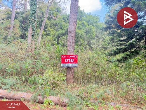 Land for sale, area 1 ngan 32 sq m, Mae Rim, Chiang Mai.