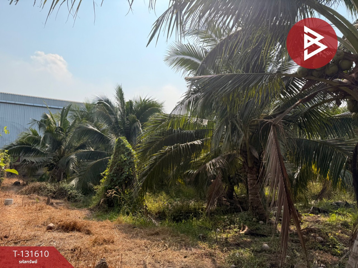 ขายที่ดิน เนื้อที่ 1 ไร่ 2 งาน 49 ตร.วา ลาดหลุมแก้ว ปทุมธานี – รูปที่ 3