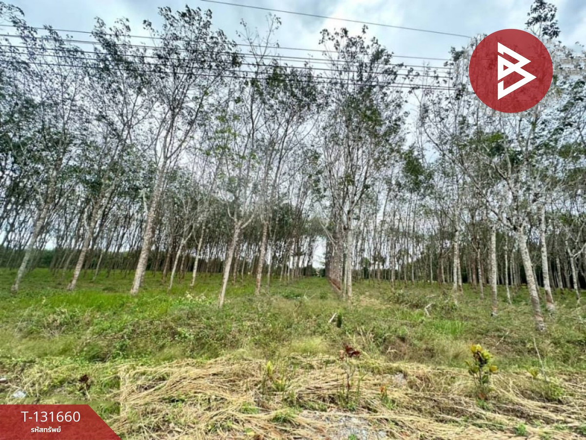 ขายที่ดิน เนื้อที่ 8 ไร่ 1 งาน 77 ตร.วา มะขาม จันทบุรี – รูปที่ 3