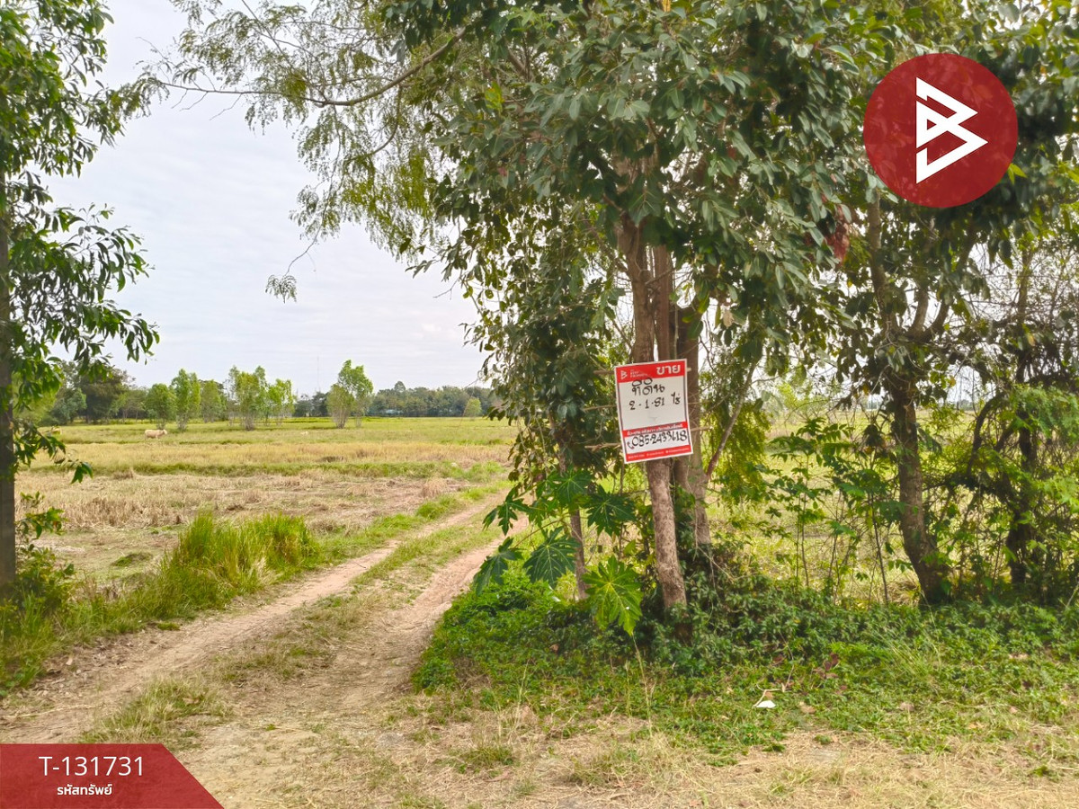 Land for sale, area 2 rai 1 ngan 81 sq m, Kae Yai, Surin. – รูปที่ 3