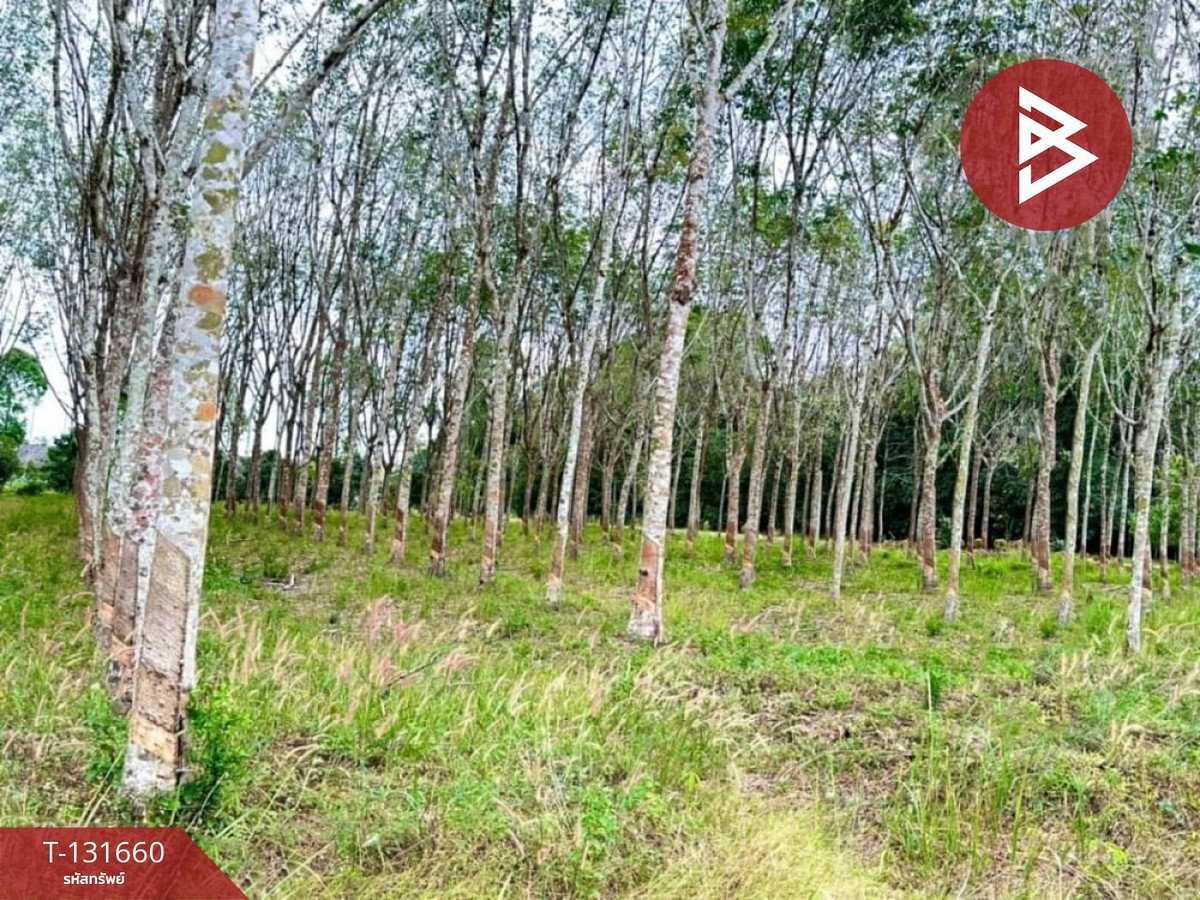 ขายที่ดิน เนื้อที่ 8 ไร่ 1 งาน 77 ตร.วา มะขาม จันทบุรี – รูปที่ 4