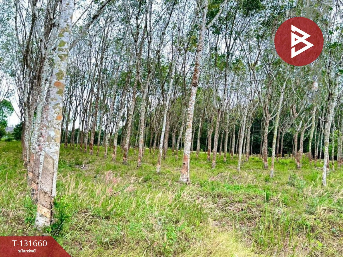 ขายที่ดิน เนื้อที่ 8 ไร่ 1 งาน 77 ตร.วา มะขาม จันทบุรี – รูปที่ 2