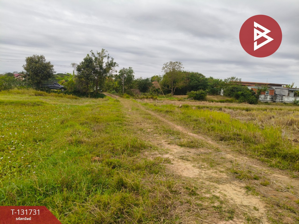 Land for sale, area 2 rai 1 ngan 81 sq m, Kae Yai, Surin. – รูปที่ 2