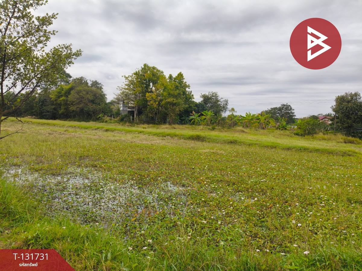 Land for sale, area 2 rai 1 ngan 81 sq m, Kae Yai, Surin. – รูปที่ 4
