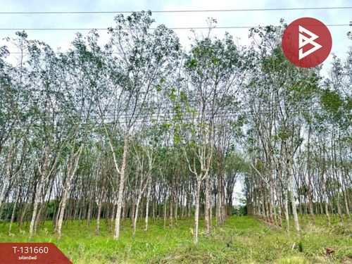 Land for sale, area 8 rai 1 ngan 77 sq m, Makham, Chanthaburi.