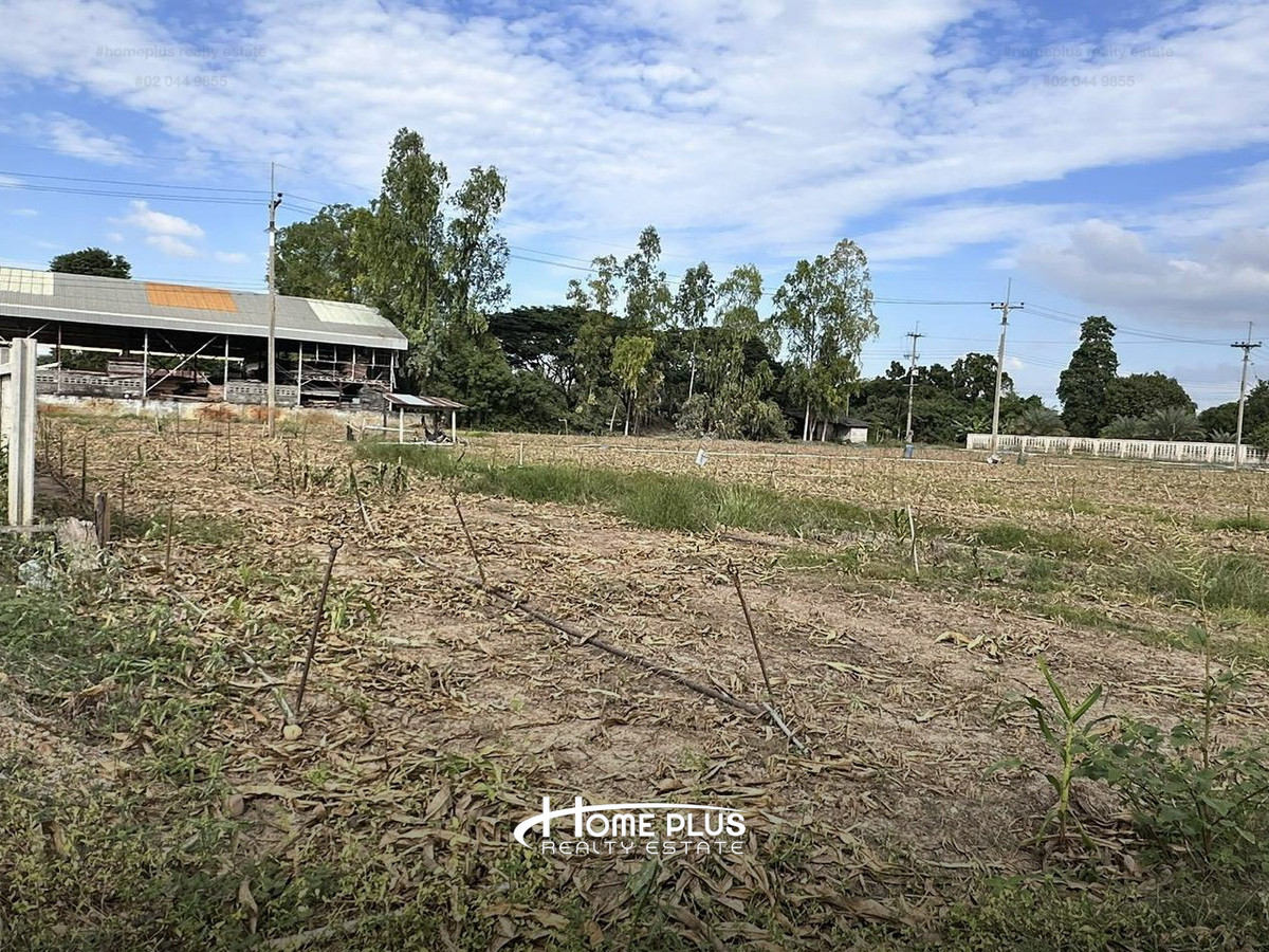 ที่ดิน 3 ไร่ ติดถนนแสงชูโต ตำบลวังขนาย อำเภอท่าม่วง กาญจนบุรี – รูปที่ 4
