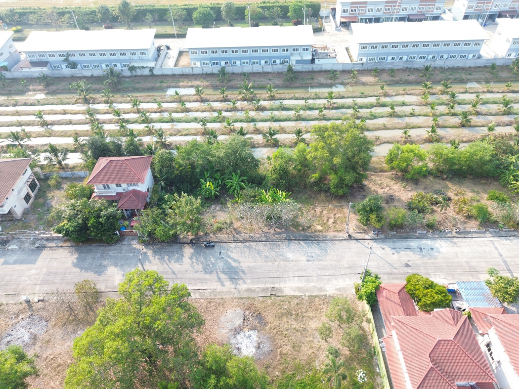 Land for sale in Thep Tharin Village, Thanyaburi, 156 sq.wa. Close to Rangsit-Nakhon Nayok Road, only 1.2 km. KK – รูปที่ 4
