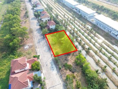 Land for sale in Thep Tharin Village, Thanyaburi, 156 sq.wa. Close to Rangsit-Nakhon Nayok Road, only 1.2 km. KK