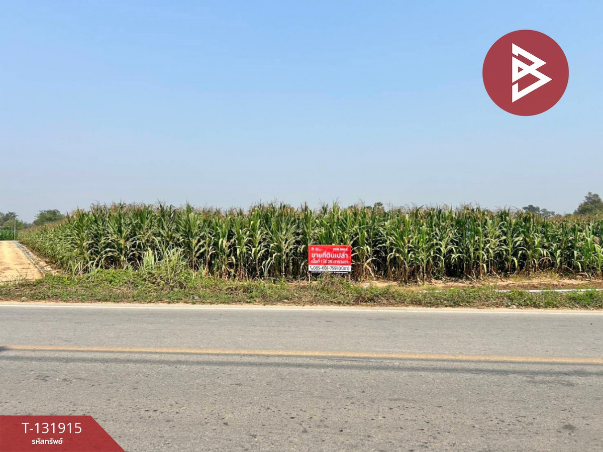 Land for sale, area 1 rai 29 sq m, Bueng Phra, Phitsanulok. – รูปที่ 2