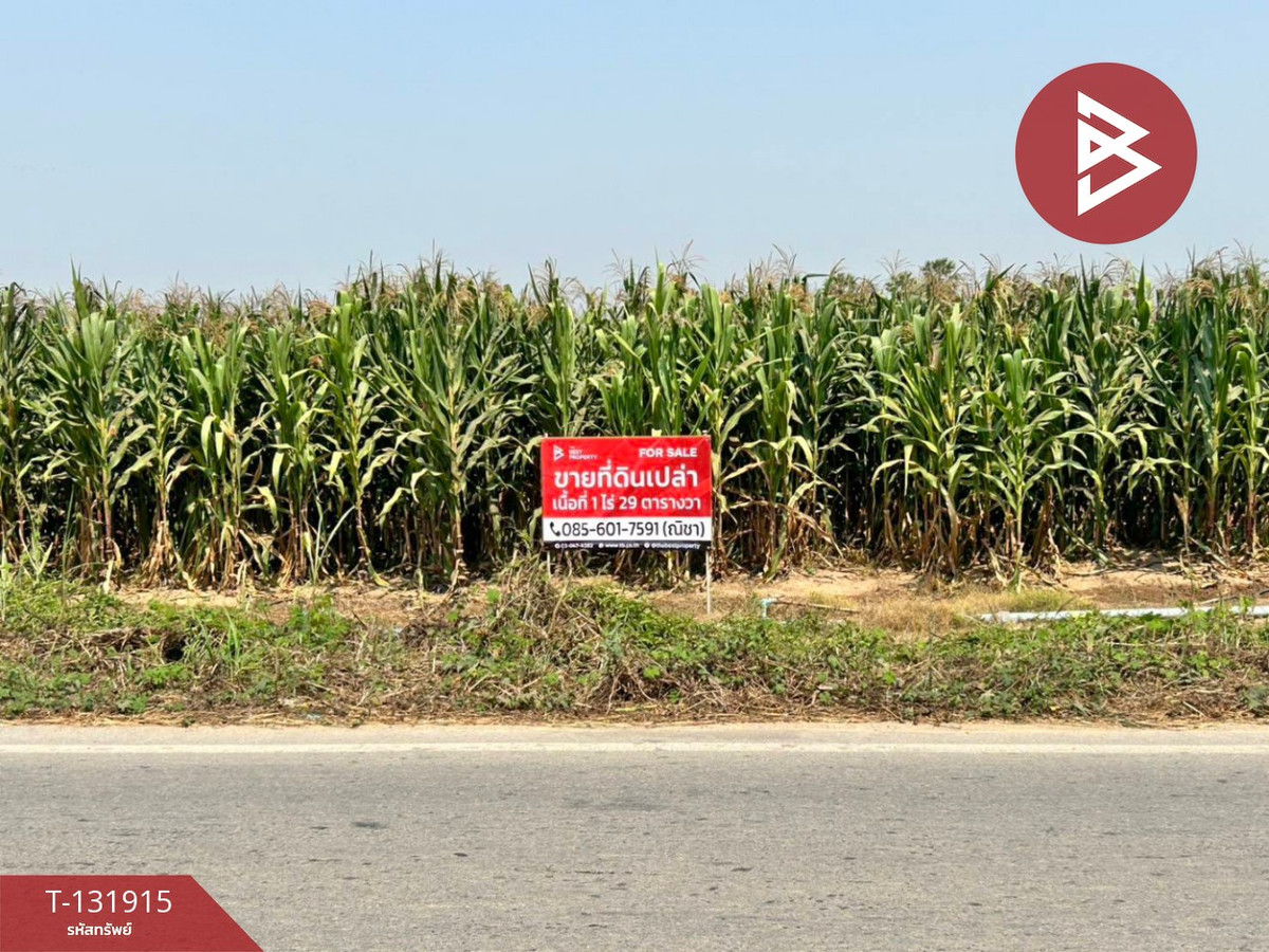 Land for sale, area 1 rai 29 sq m, Bueng Phra, Phitsanulok. – รูปที่ 4