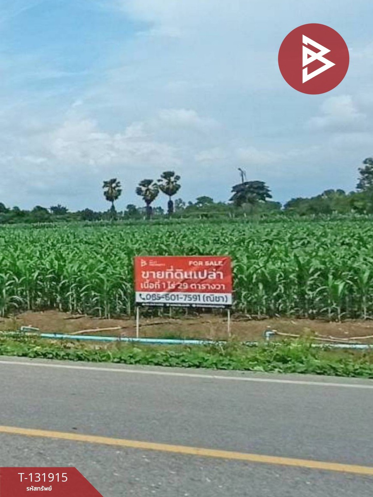Land for sale, area 1 rai 29 sq m, Bueng Phra, Phitsanulok.