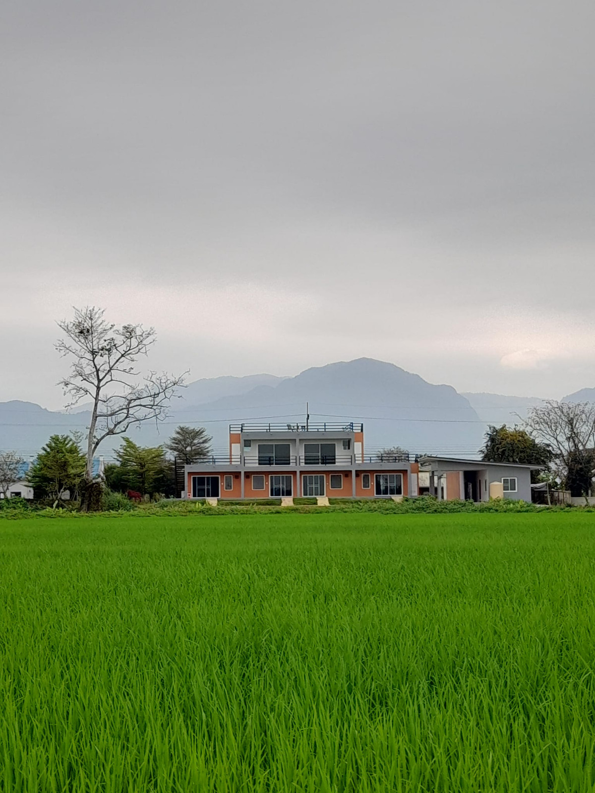 Villa for sale, fully furnished, ready to move in or open a resort business in the Huai Krai-Mae Sai location, Chiang Rai. Villa for sale, fully furnished, ready to move in or open a resort business in the Huai Krai-Mae Sai location, Chiang Rai.