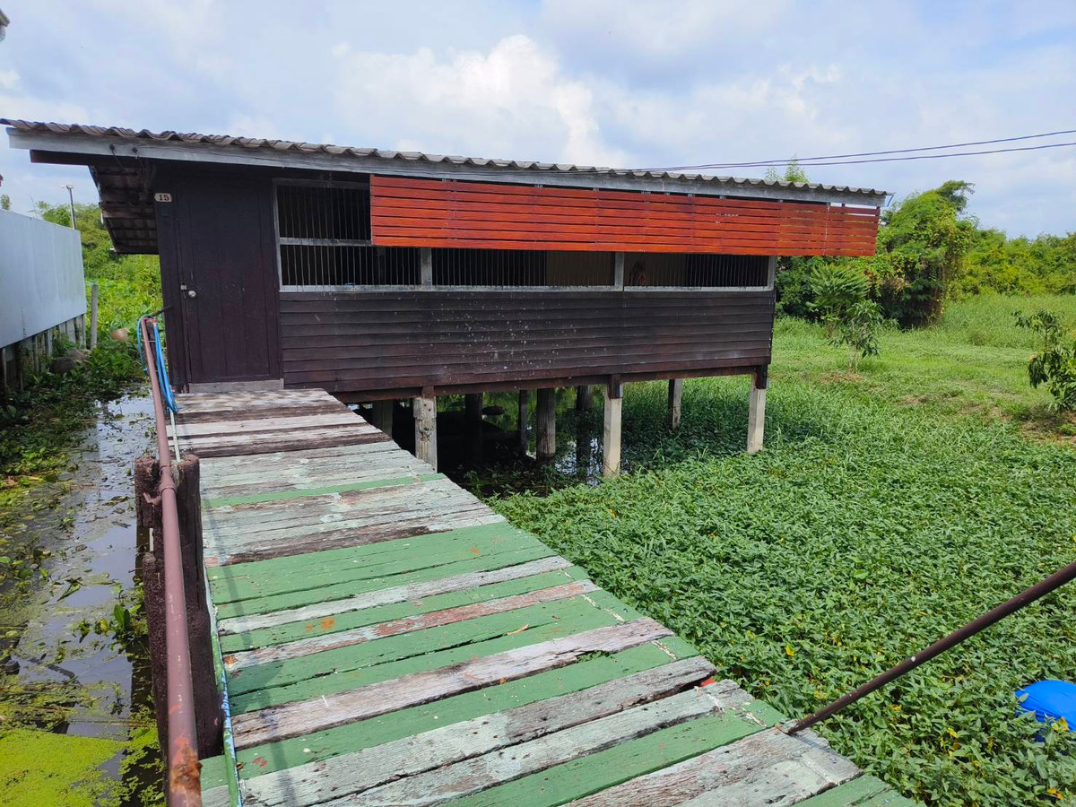 บ้านไม้เก่า ติดถนนเหมาะค้าขาย,ร้านอาหาร,ร้านคาเฟ่ ใกล้พุทธมณฑลสาย 7 บ้านไม้เก่า ติดถนนเหมาะค้าขาย,ร้านอาหาร,ร้านคาเฟ่ ใกล้พุทธมณฑลสาย 7