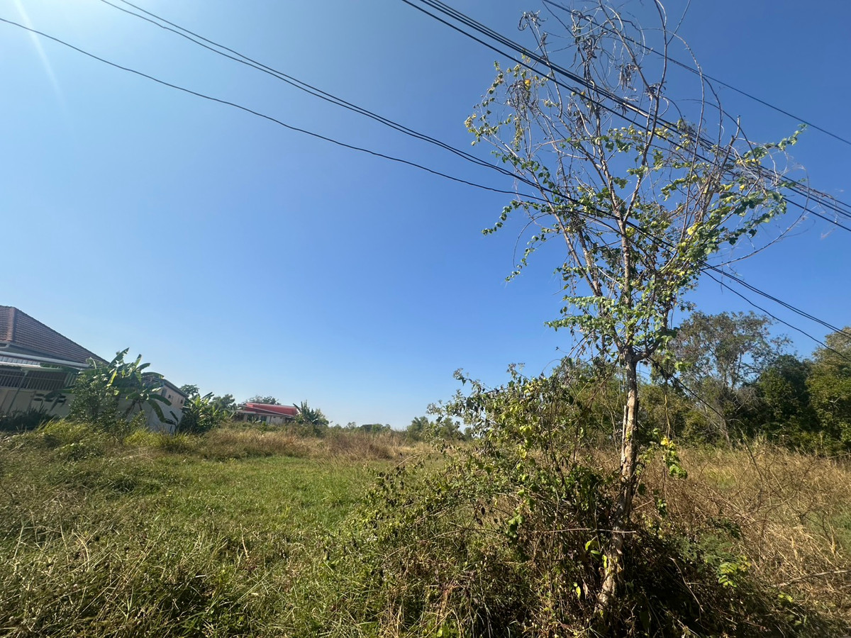 ขายที่ดินทำเลทองใกล้โลตัส หนองสนม เหมาะสร้างโครงการบ้าน – รูปที่ 2