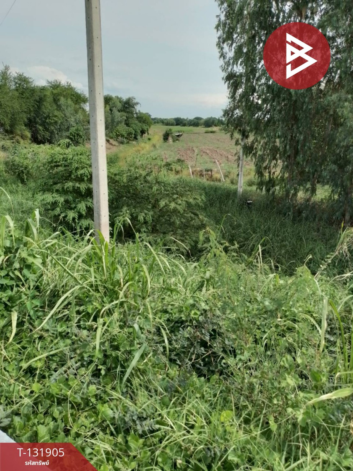 Land for sale, area 4 rai 3 ngan 64 sq m, Bang Ban, Phra Nakhon Si Ayutthaya. – รูปที่ 4