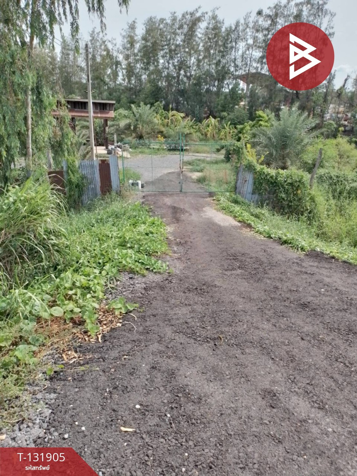 Land for sale, area 4 rai 3 ngan 64 sq m, Bang Ban, Phra Nakhon Si Ayutthaya. – รูปที่ 2