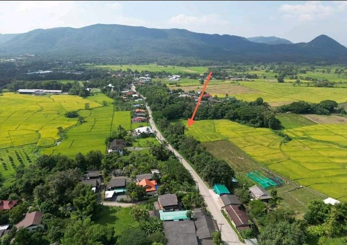 ขายที่ดิน ออนกลาง สันกำแพง ขายที่ดิน ออนกลาง สันกำแพง