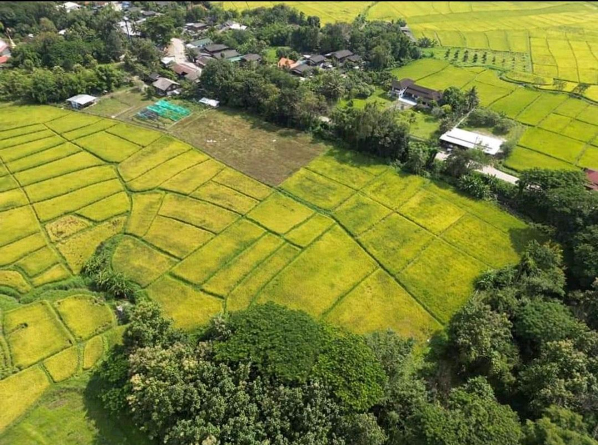 Land for sale in On Klang, San Kamphaeng. – รูปที่ 4