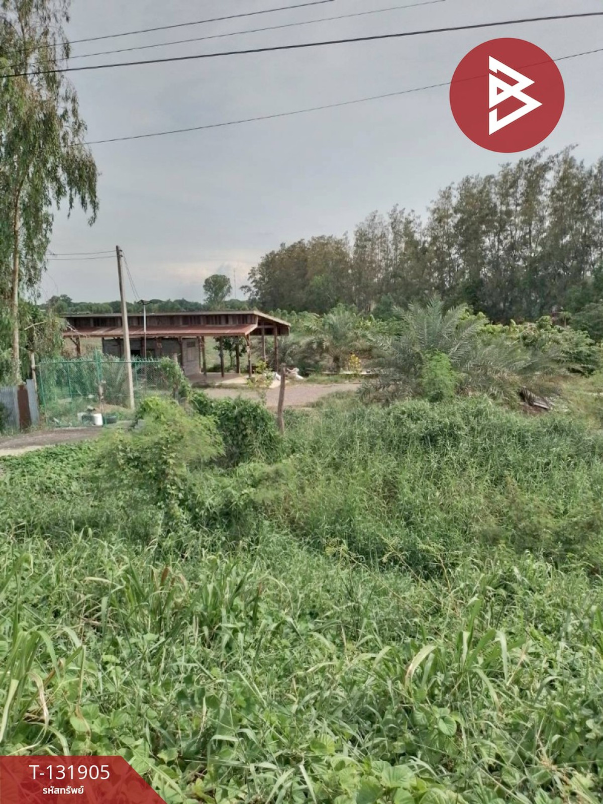 Land for sale, area 4 rai 3 ngan 64 sq m, Bang Ban, Phra Nakhon Si Ayutthaya. – รูปที่ 3
