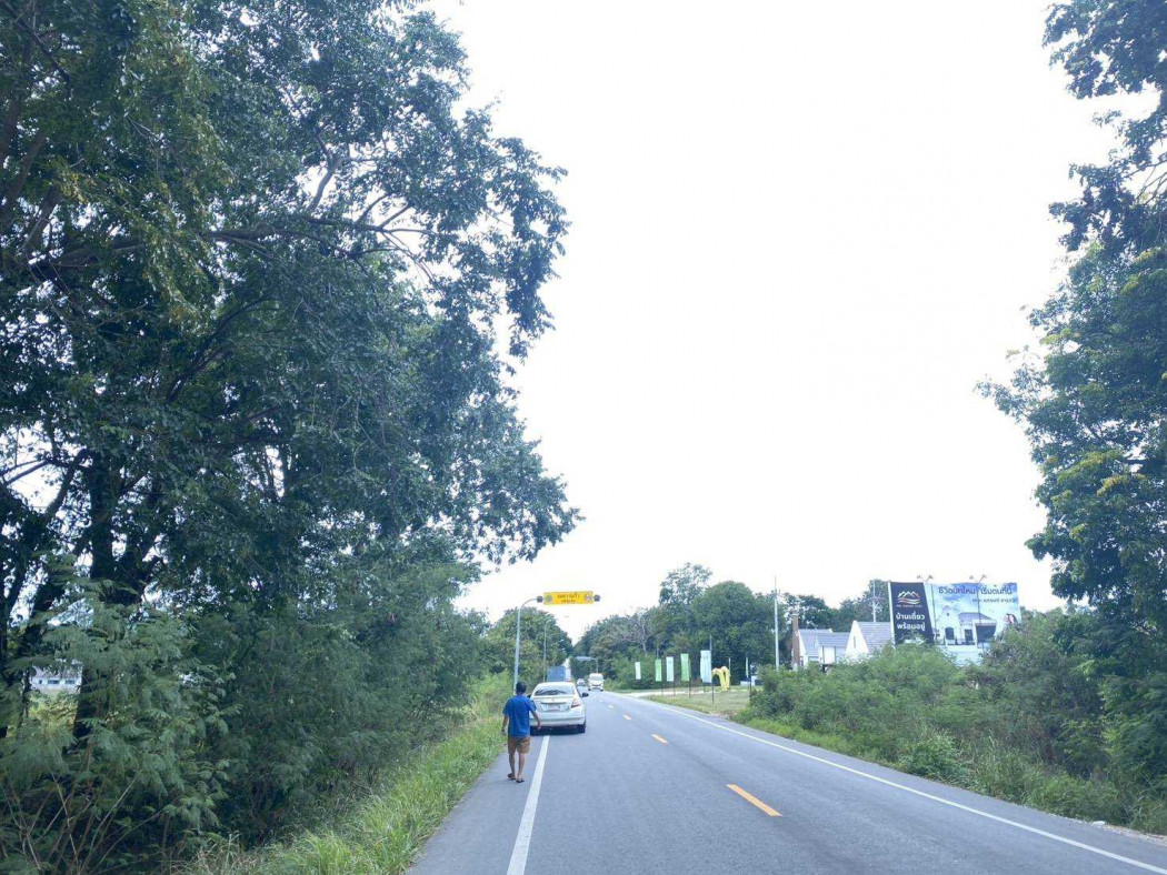 ขาย ที่ดิน ใน EEC ผังสีเหลือง 24 ไร่ 2 งาน 58 ตรว – รูปที่ 2