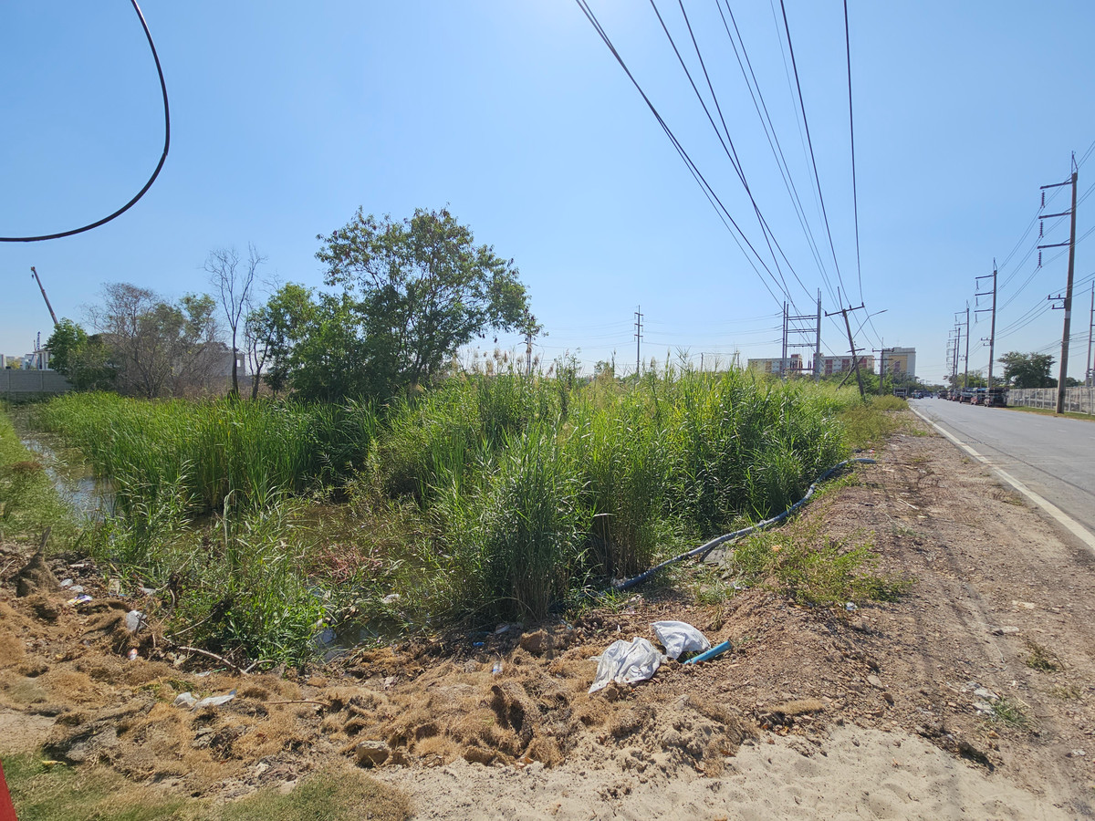 Great investment opportunity! Land for sale, area 5 rai, Kotchasarn Charusorn Road, Khlong Nueng Subdistrict, Khlong Luang District, Pathum Thani Province, square shaped land, very beautiful. Width next to the road is 96 meters. Trailer is easy to enter a