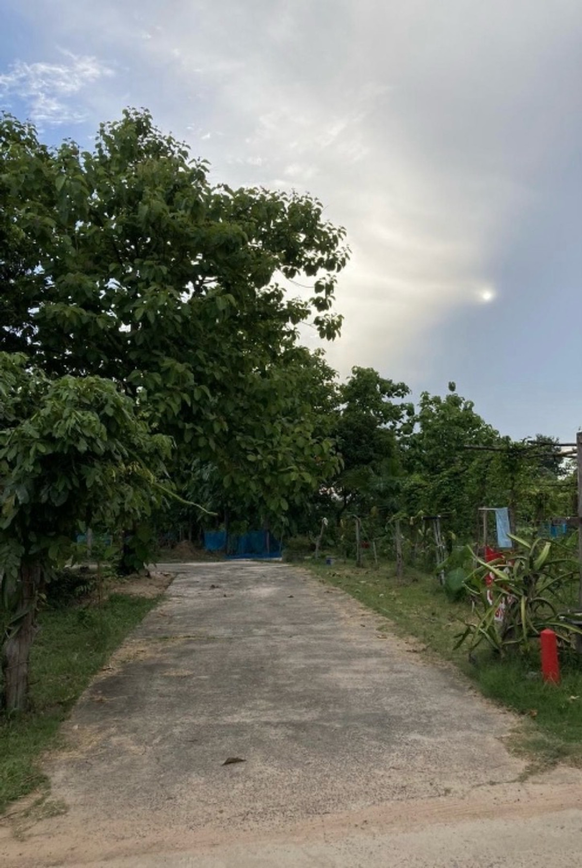  Direct Sale – Agents Welcome – รูปที่ 3