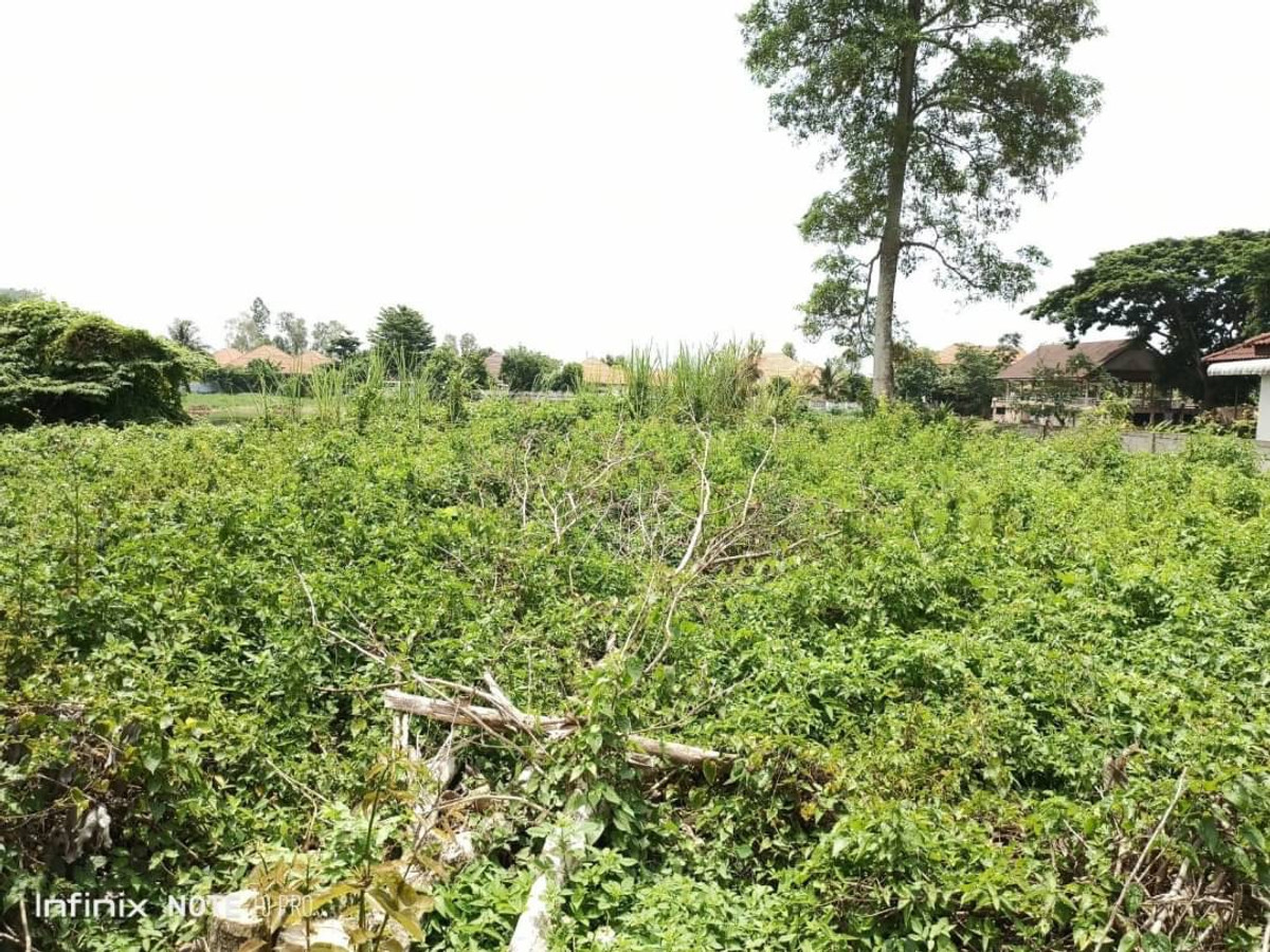 Land, Mueang Chiang Rai District Selling as appraised Land, Mueang Chiang Rai District Selling as appraised