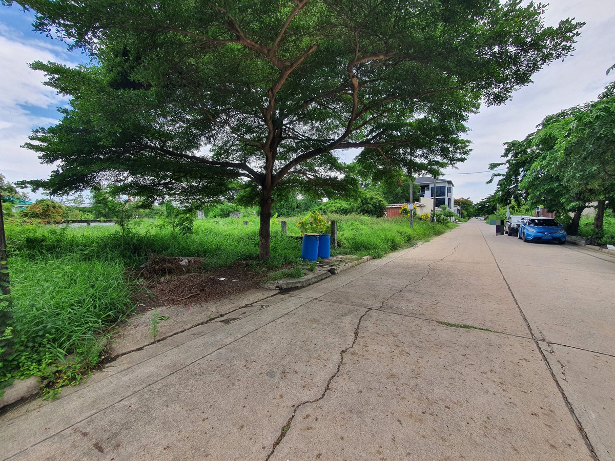 ขายที่ดินพัฒนาการ 69 เนื้อที่ 62 ตารางวา ถมแล้ว – รูปที่ 3
