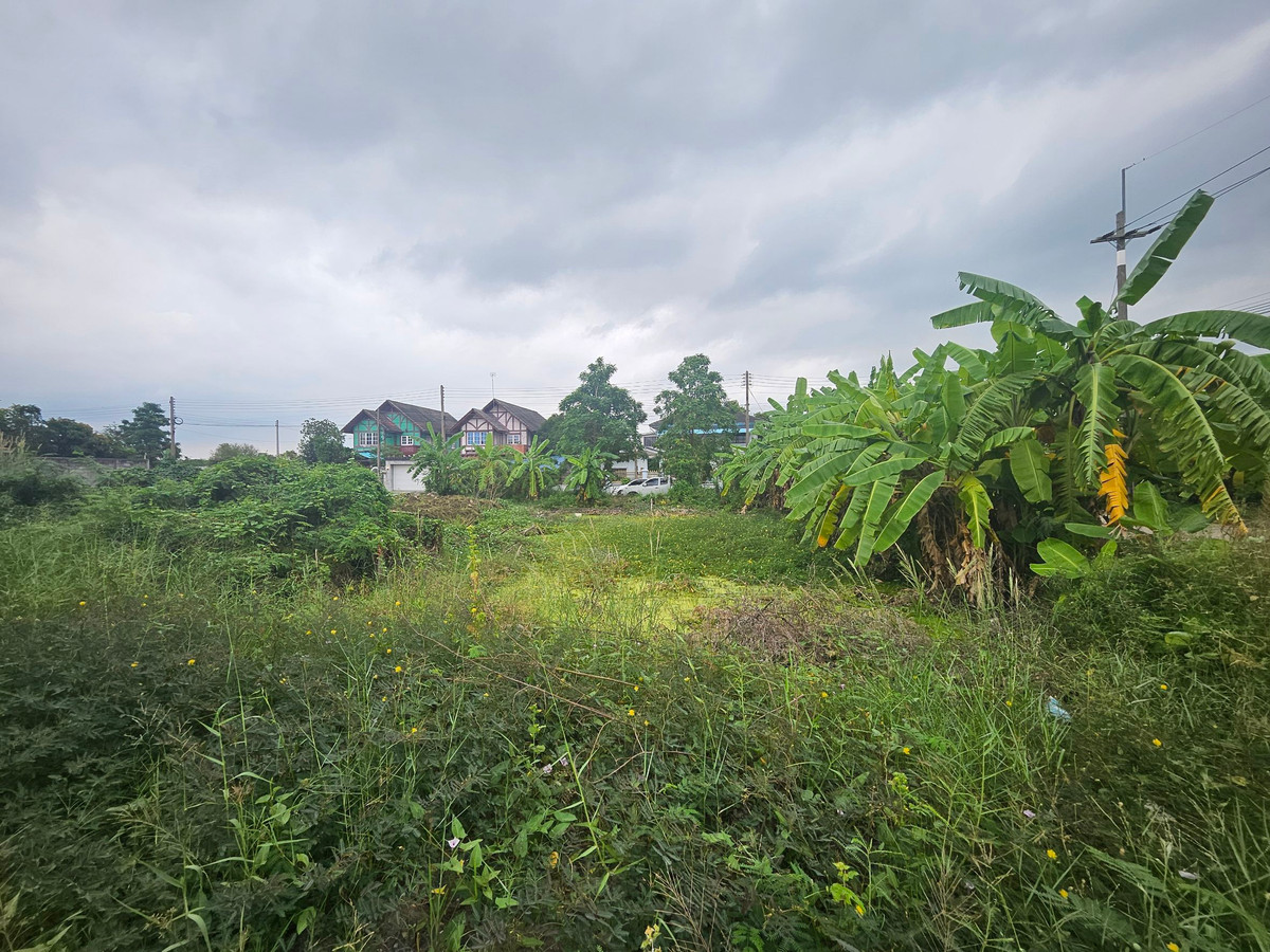 หลุดมาแปลงเดียว! ที่หัวมุม 114.7 ตร.ว. หลังตลาดมหาชัยเมืองใหม่ ราคาช็อกตลาด – รูปที่ 3
