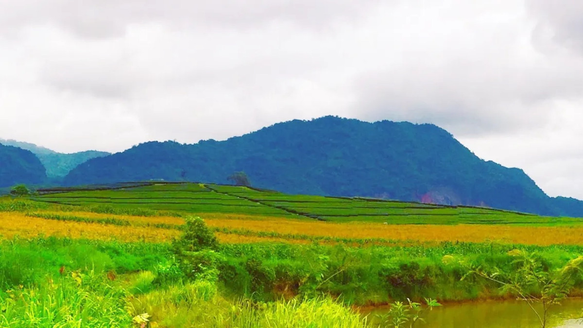 ขายที่ดิน วิวภูเขาโอบล้อม เชียงราย ไร่ละ 1.2 ล้าน