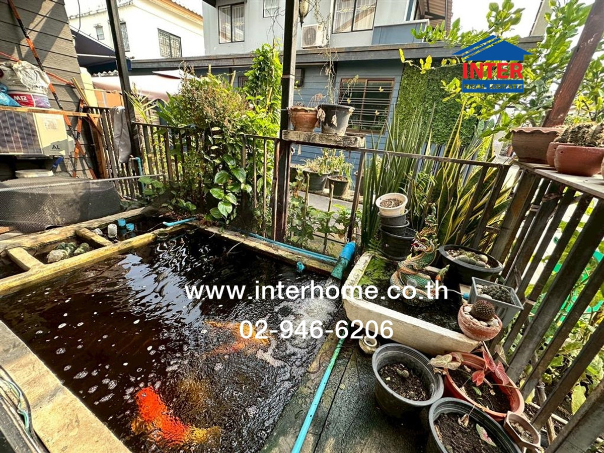 ทาวน์เฮ้าส์ 2 ชั้น 21.7 ตร.ว. หมู่บ้านพฤกษา40 รังสิต คลอง3 ถนนรังสิต-นครนายก ถนนเลียบคลองสาม คลองหลวง ปทุมธานี – รูปที่ 3