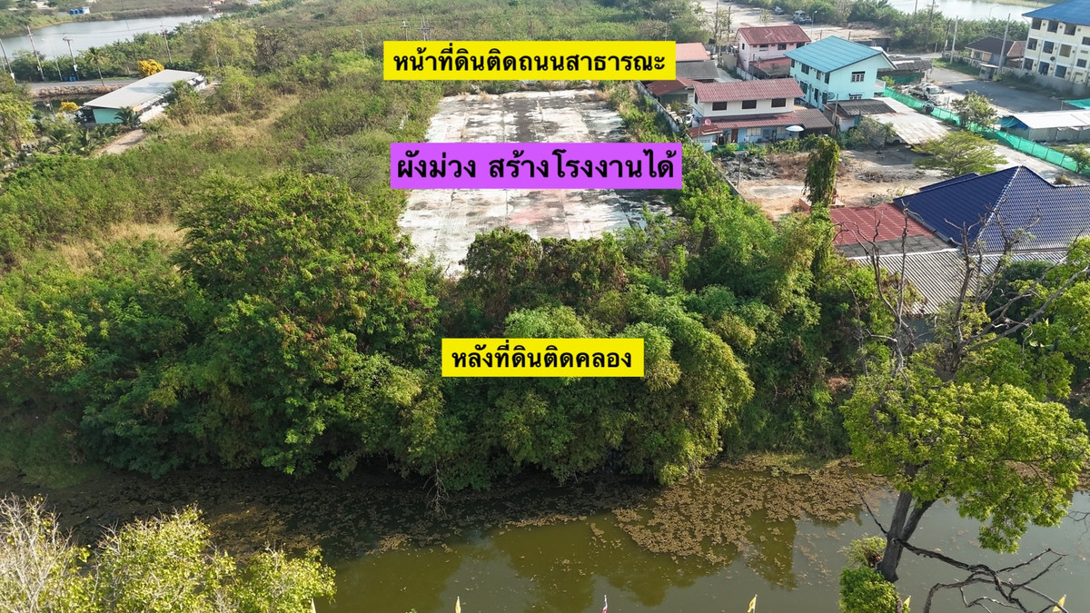 ขายที่ดิน 3 ไร่ ผังสีม่วง แปลงสวย ติดถนนใหญ่ เหมาะทำโรงงาน  – รูปที่ 3