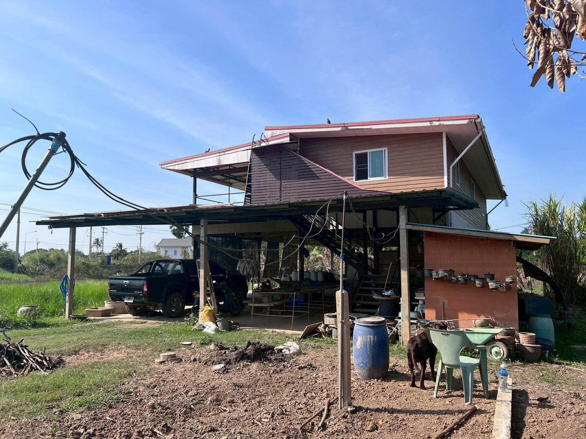95546 - ขายบ้านสวน 2 ชั้น พร้อมที่ดิน 4 ไร่ 3 งาน 5 ตรว. อ.พรหมบุรี จ.สิงห์บุรี ติดถนนทางหลวงหมายเลข 309 95546 - ขายบ้านสวน 2 ชั้น พร้อมที่ดิน 4 ไร่ 3 งาน 5 ตรว. อ.พรหมบุรี จ.สิงห์บุรี ติดถนนทางหลวงหมายเลข 309