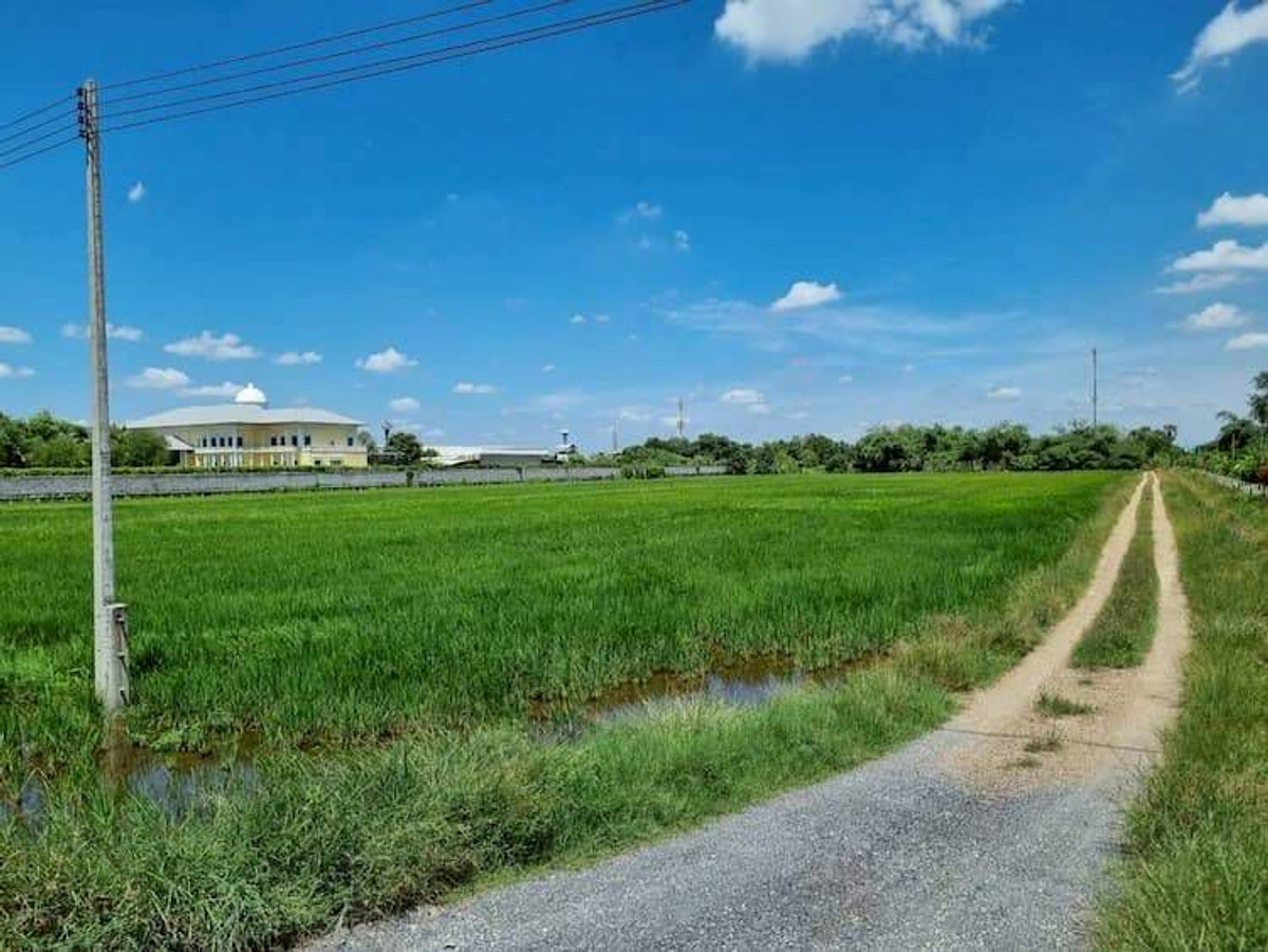 Land for rent, large plot 45 rai (can be rented out), good location, close to the community, next to Khlong 7 Road, Lam Luk Ka Subdistrict, Lam Luk Ka District, Pathum Thani Province. Land for rent, large plot 45 rai (can be rented out), good location, close to the community, next to Khlong 7 Road, Lam Luk Ka Subdistrict, Lam Luk Ka District, Pathum Thani Province.