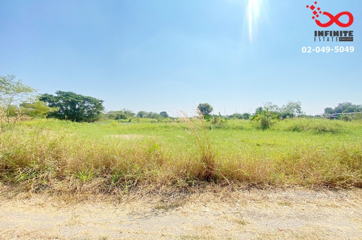 ขายที่ดิน 104ตรว.ลำลูกกาคลอง 11 แปลงสวย ขายถูก ปทุมธานี ใกล้เรนวูดปาร์ค  – รูปที่ 2