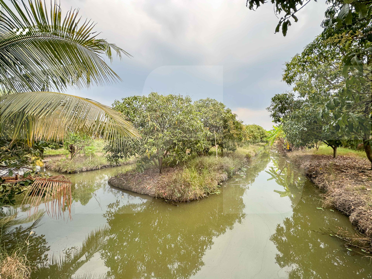 🔥Urgent Sale, 1.8 Million Baht per Rai🔥 Guava orchard land, 19-3-24.9 Rai, includes a house. Near Wat Jindaram, Jinda Market, Sam Phran, Nakhon Pathom. 🔥Urgent Sale, 1.8 Million Baht per Rai🔥 Guava orchard land, 19-3-24.9 Rai, includes a house. Near Wat Jindaram, Jinda Market, Sam Phran, Nakhon Pathom.