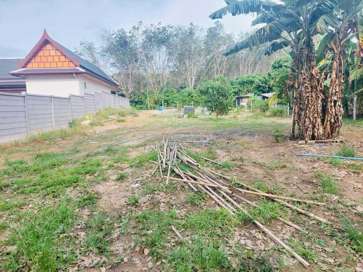 Prime Land for Sale in Phuket: 2 Ngan 37 Sq. Wah High Investment Potential – รูปที่ 3