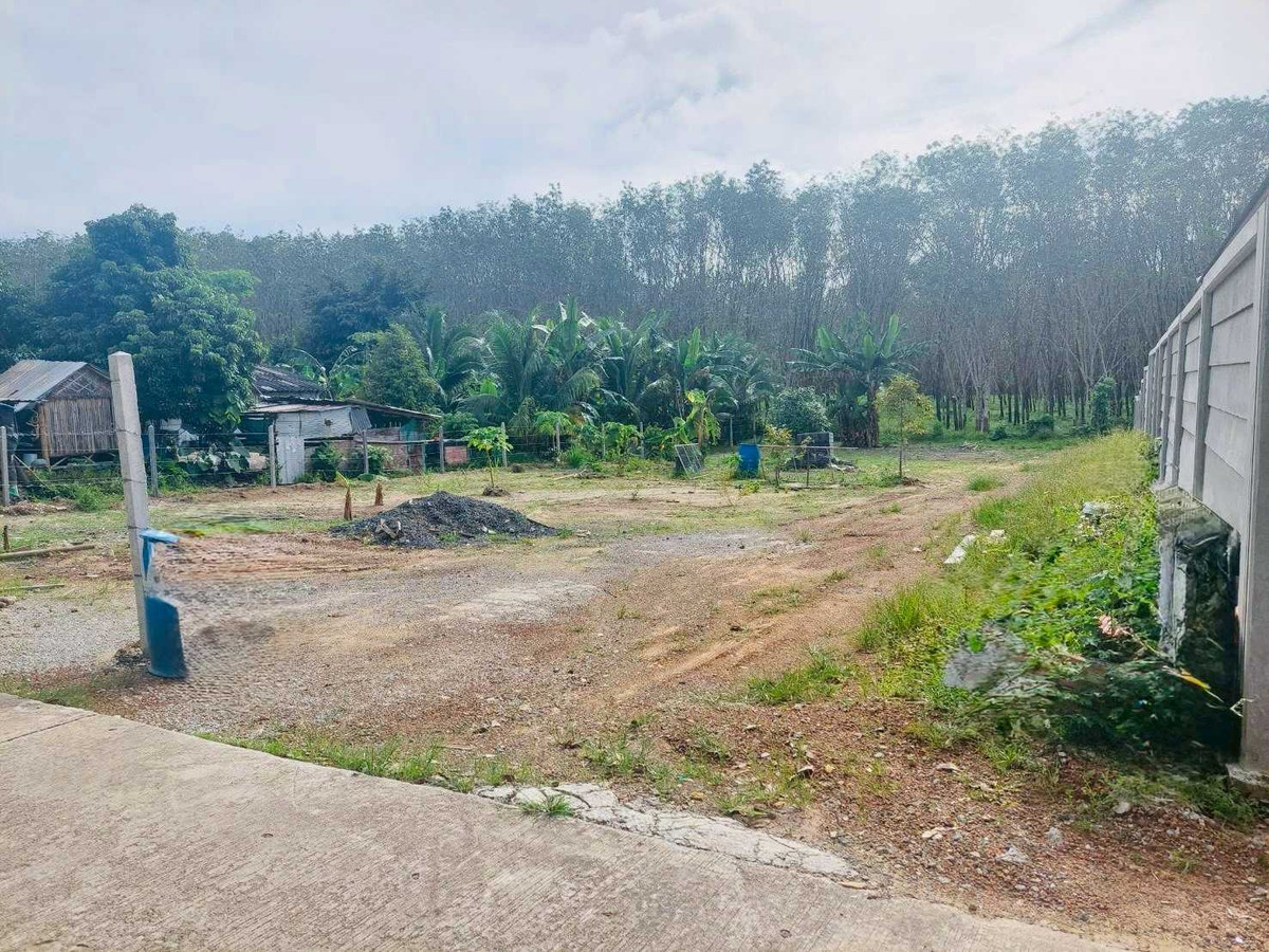 Prime Land for Sale in Phuket: 2 Ngan 37 Sq. Wah High Investment Potential – รูปที่ 4