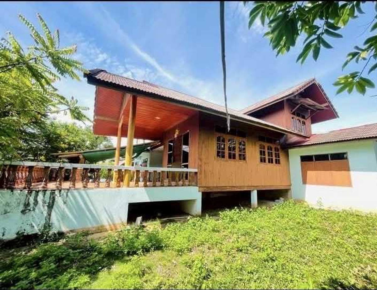 ขายบ้านพร้อมที่ดิน ต.ป่าแลวหลวง อ.สันติสุข จ.น่าน ขายบ้านพร้อมที่ดิน ต.ป่าแลวหลวง อ.สันติสุข จ.น่าน