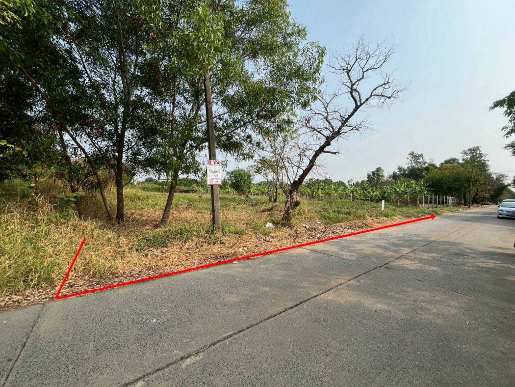 ขาย ที่ดิน เวิลด์คลับแลนด์ 1 ไร่ 2 งาน 19 ตรว ใกล้ตลาดไท – รูปที่ 3