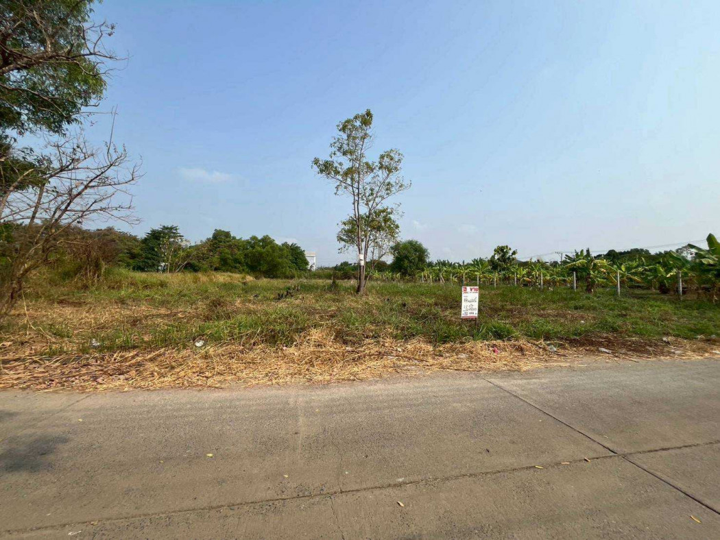ขาย ที่ดิน เวิลด์คลับแลนด์ 1 ไร่ 2 งาน 19 ตรว ใกล้ตลาดไท – รูปที่ 4