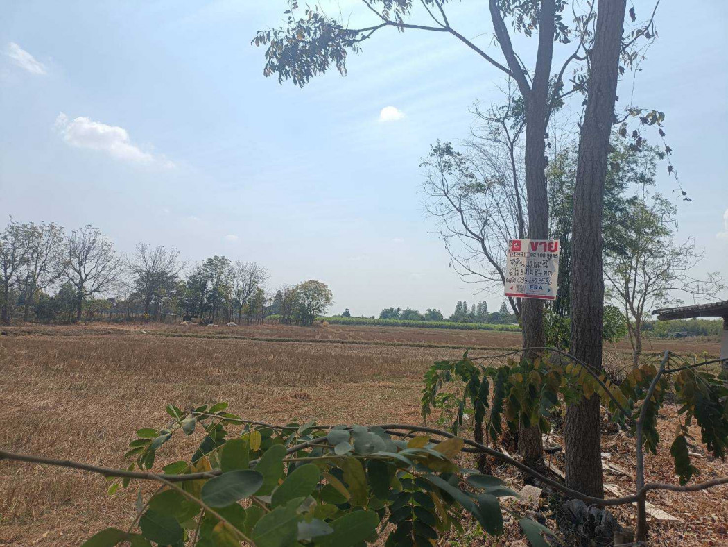 Land for sale in Pak Tho District, 6 rai 3 ngan 84 square wah, near Pak Tho Vocational College. – รูปที่ 2